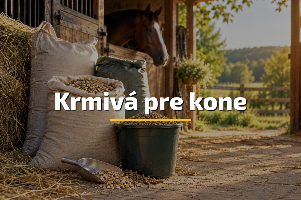 Krmivá pre kone